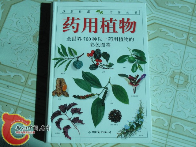 科普读物