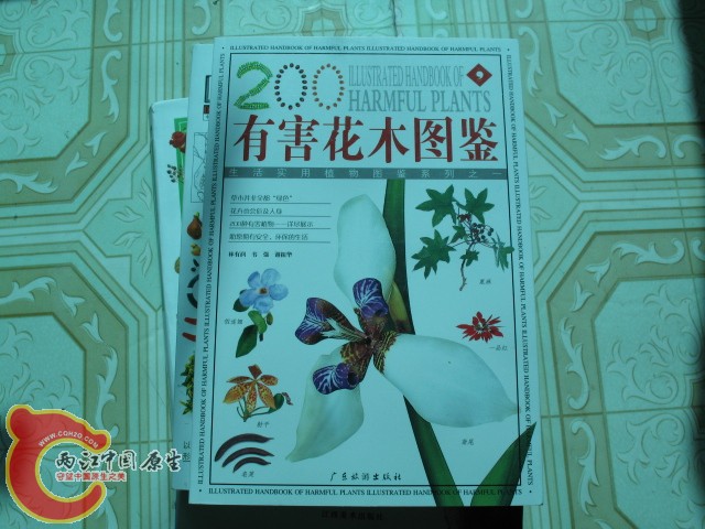 科普读物