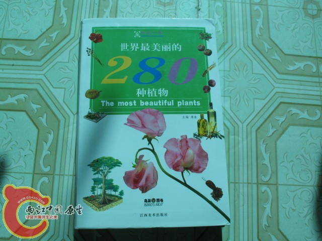 科普读物
