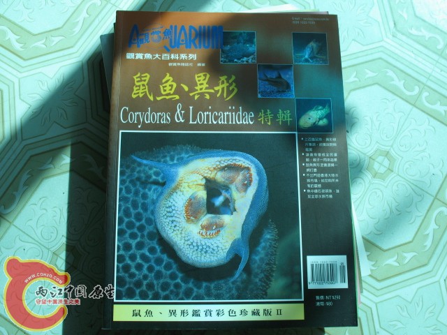 科普读物