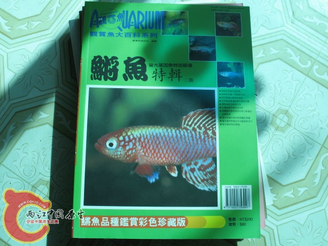 大百科