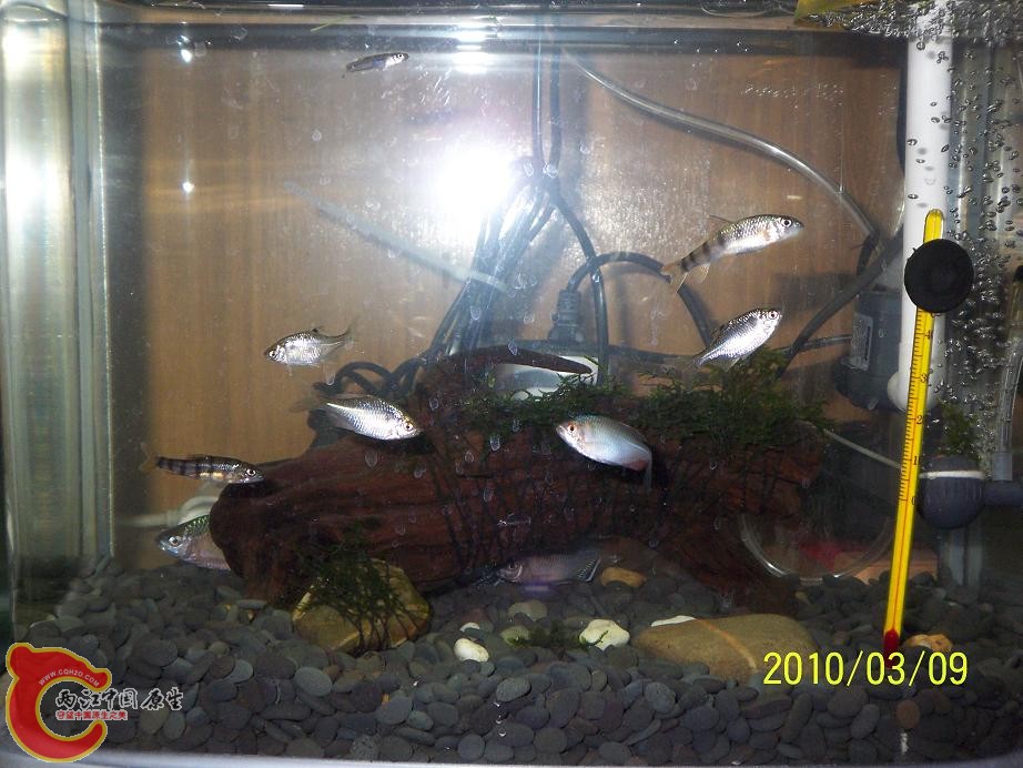 全景
