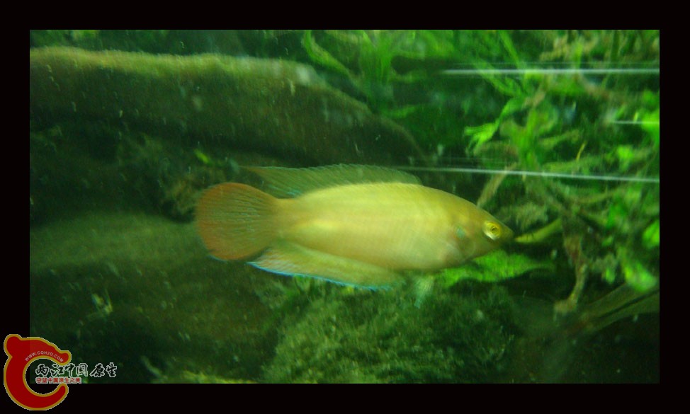 DSC09984.jpg