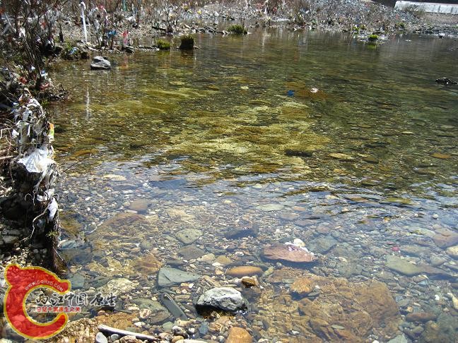 IMG_3252.JPG