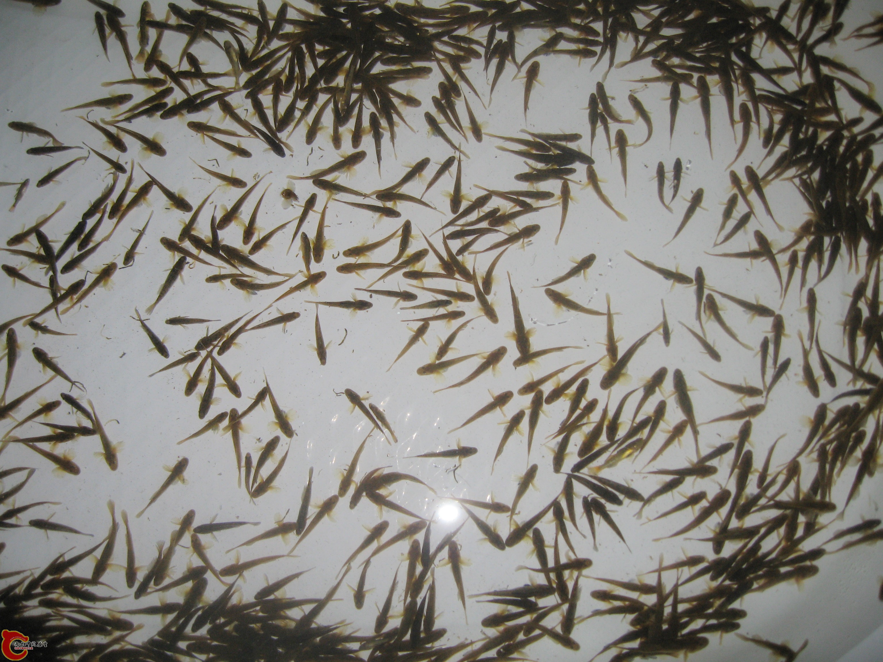 照片 268.jpg