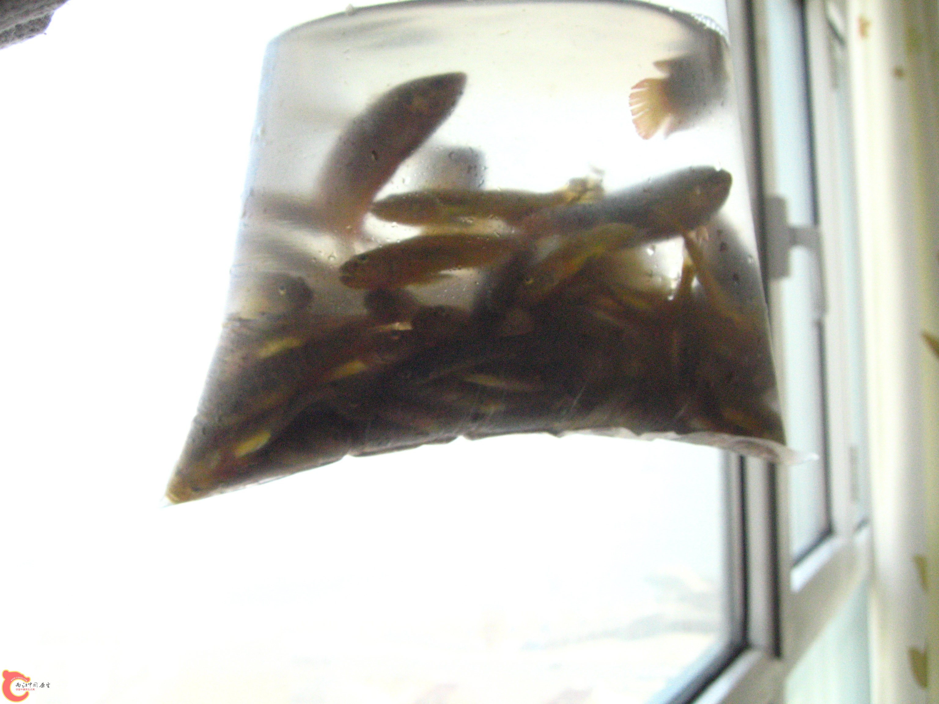 照片 260.jpg