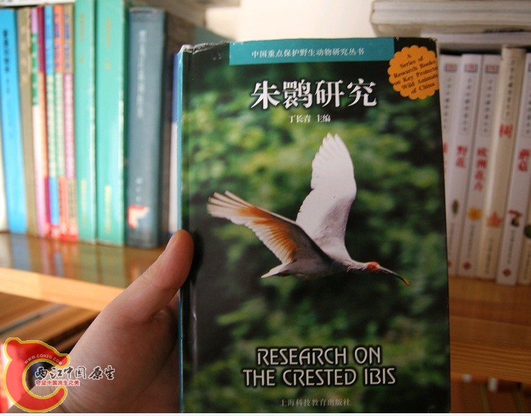 未命名2.jpg