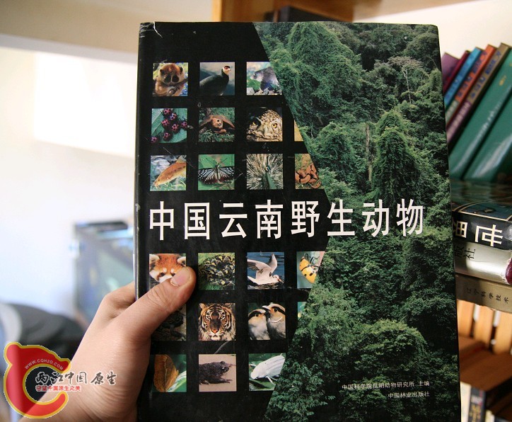 未命名24.jpg
