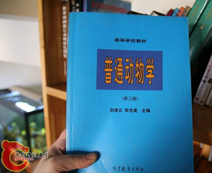 未命名28.jpg