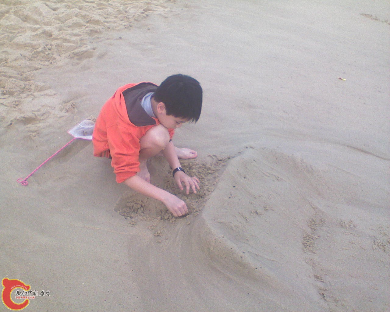 DSC00013.JPG