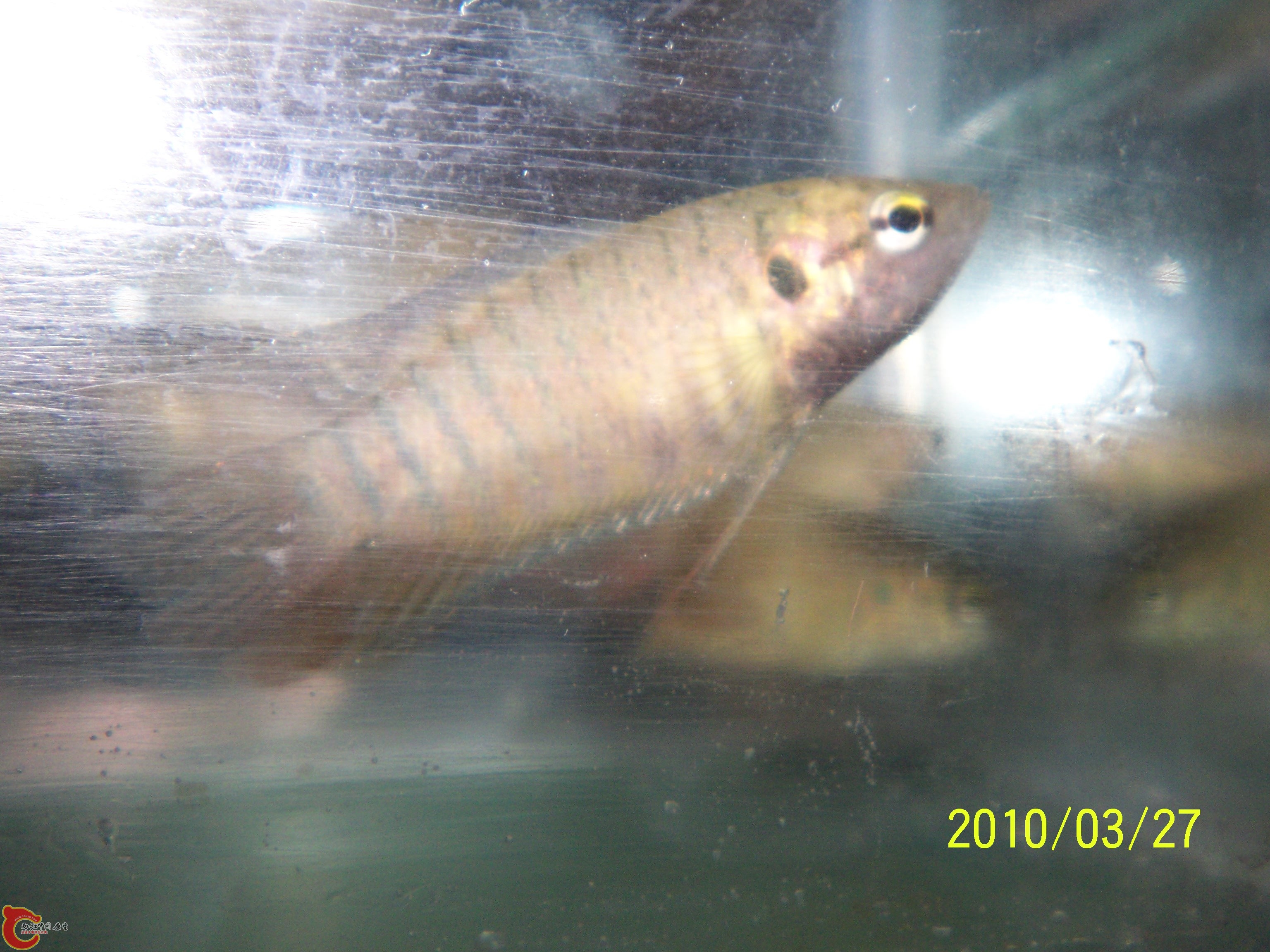 100_9875.JPG