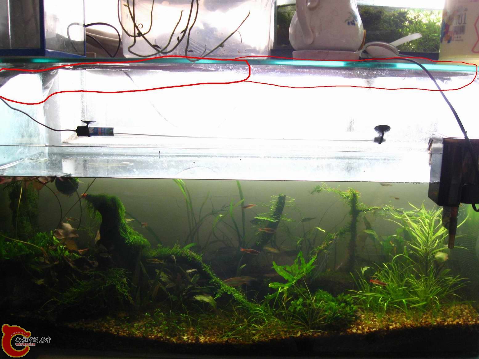 调整大小 照片 503副本.JPG