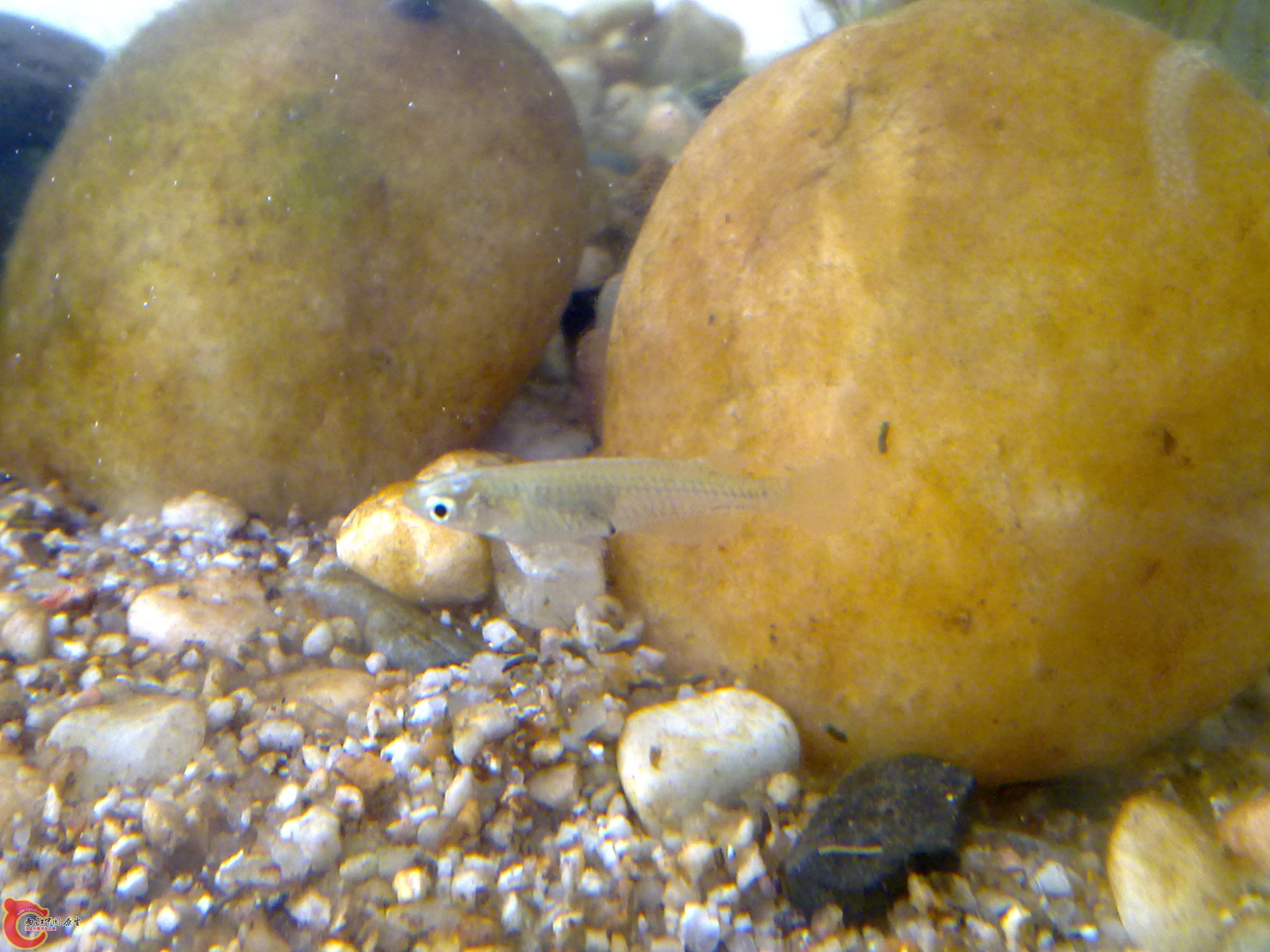20100402029.jpg