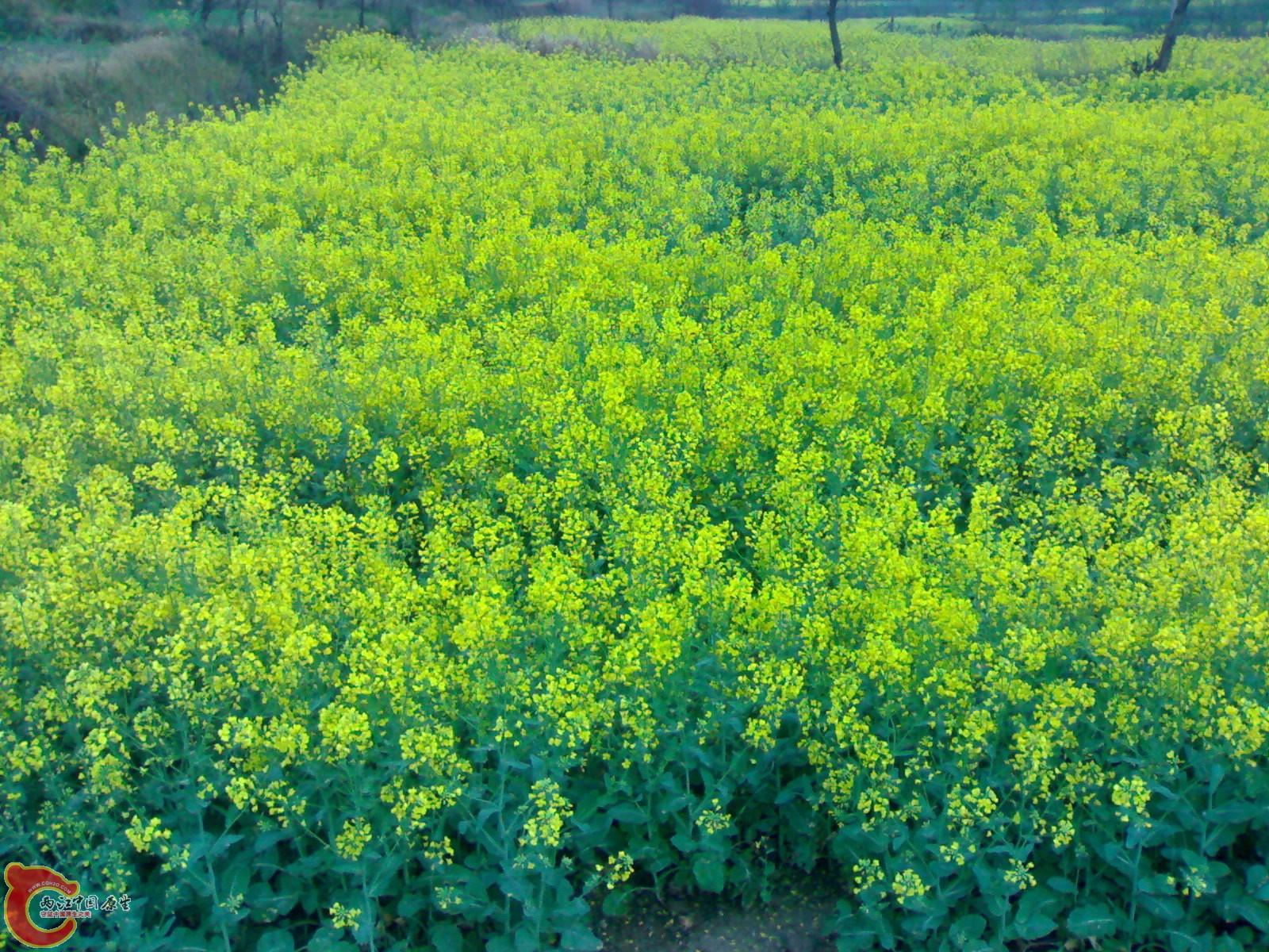 20100404142.jpg