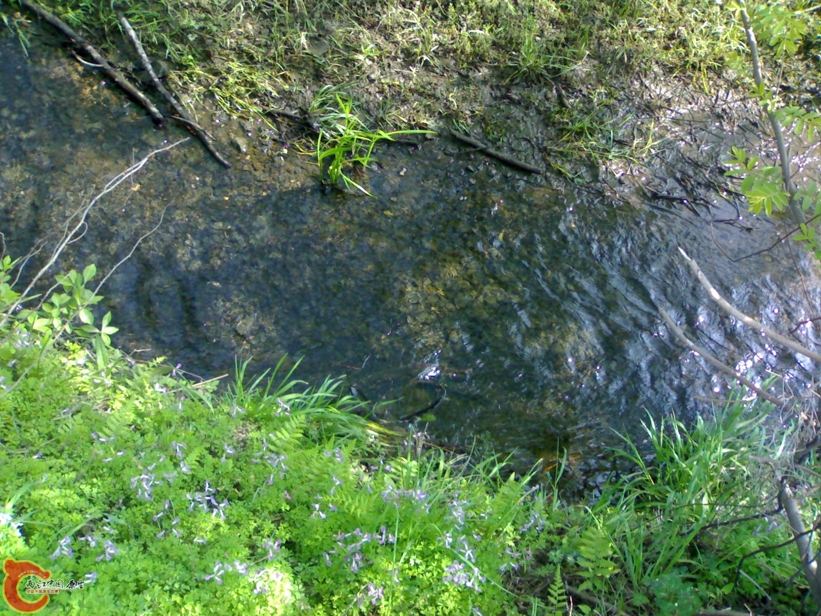 20100404181.jpg