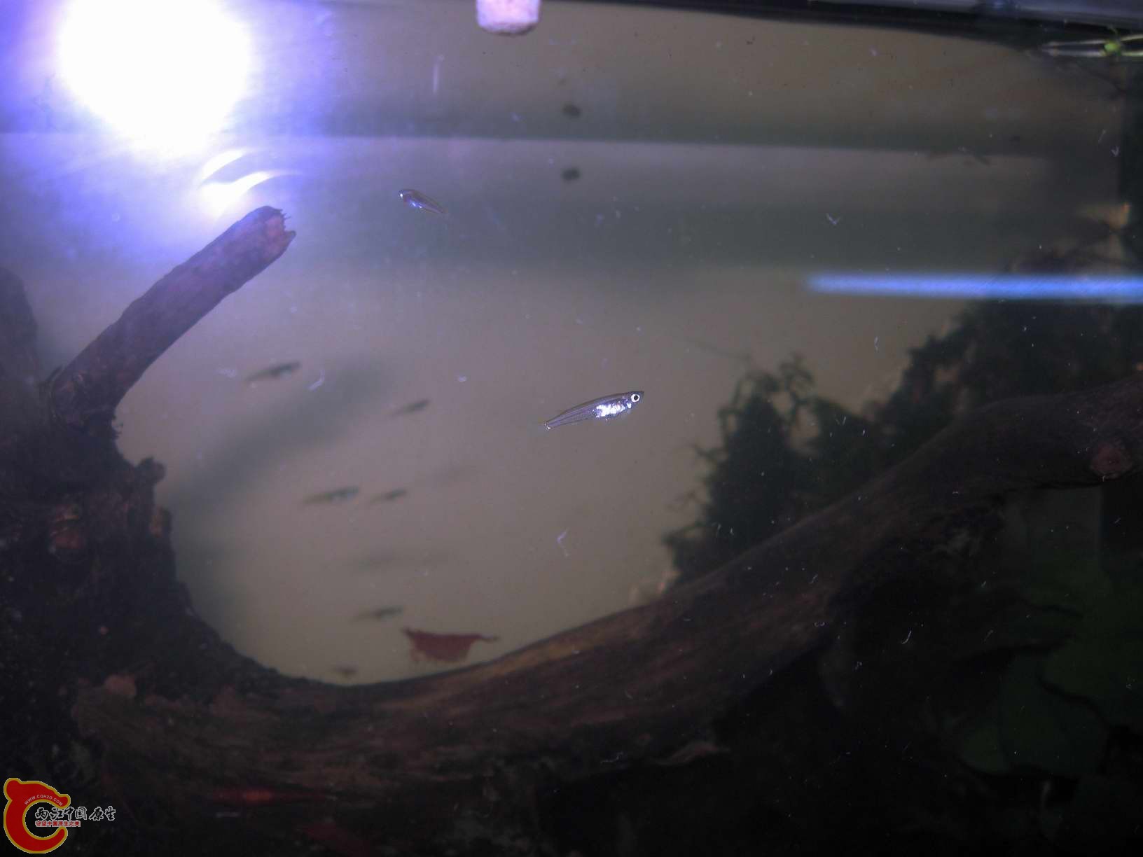 调整大小 照片 042.jpg