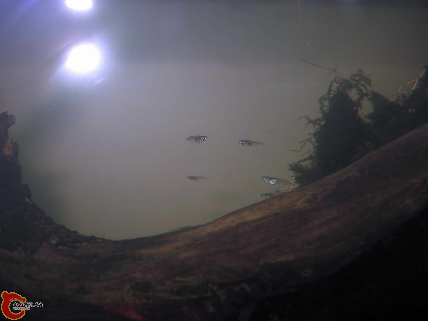 调整大小 照片 023.jpg