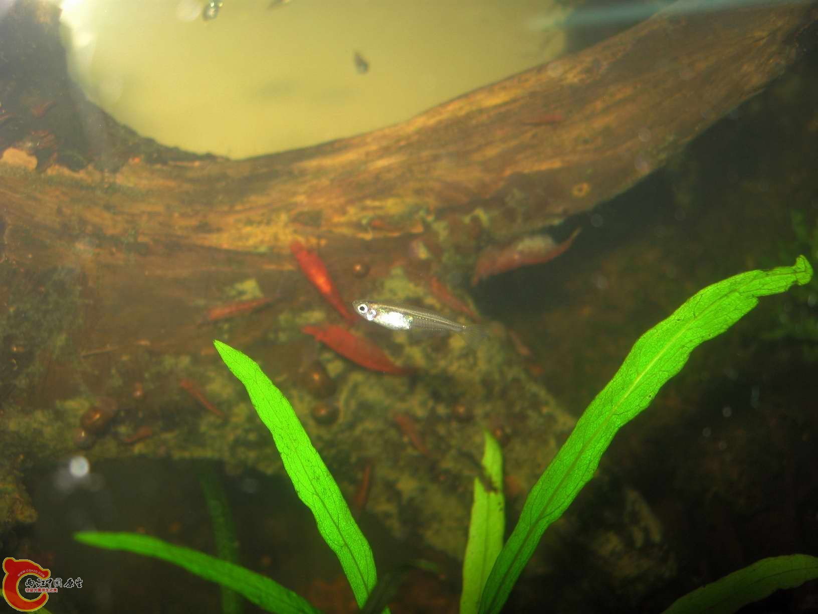 调整大小 照片 008.jpg