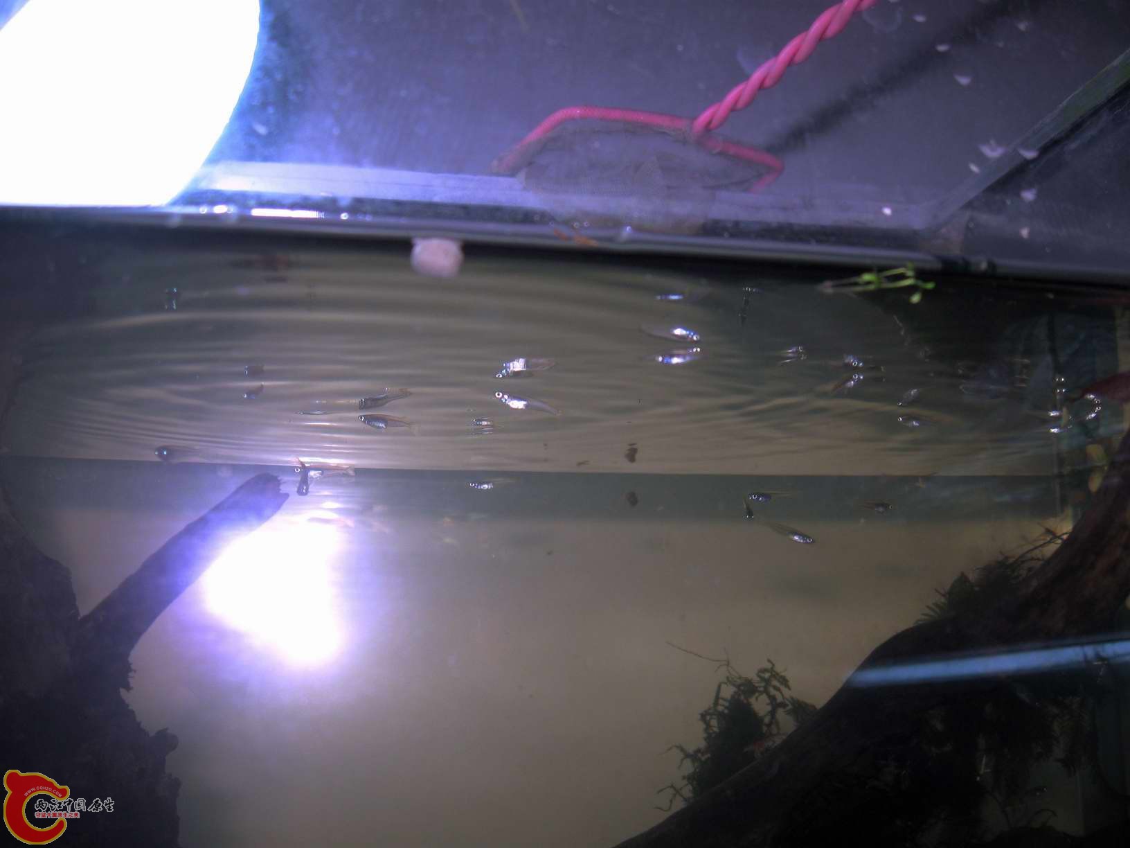 调整大小 照片 049.jpg