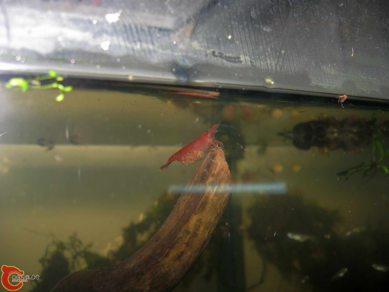 调整大小 照片 029.jpg