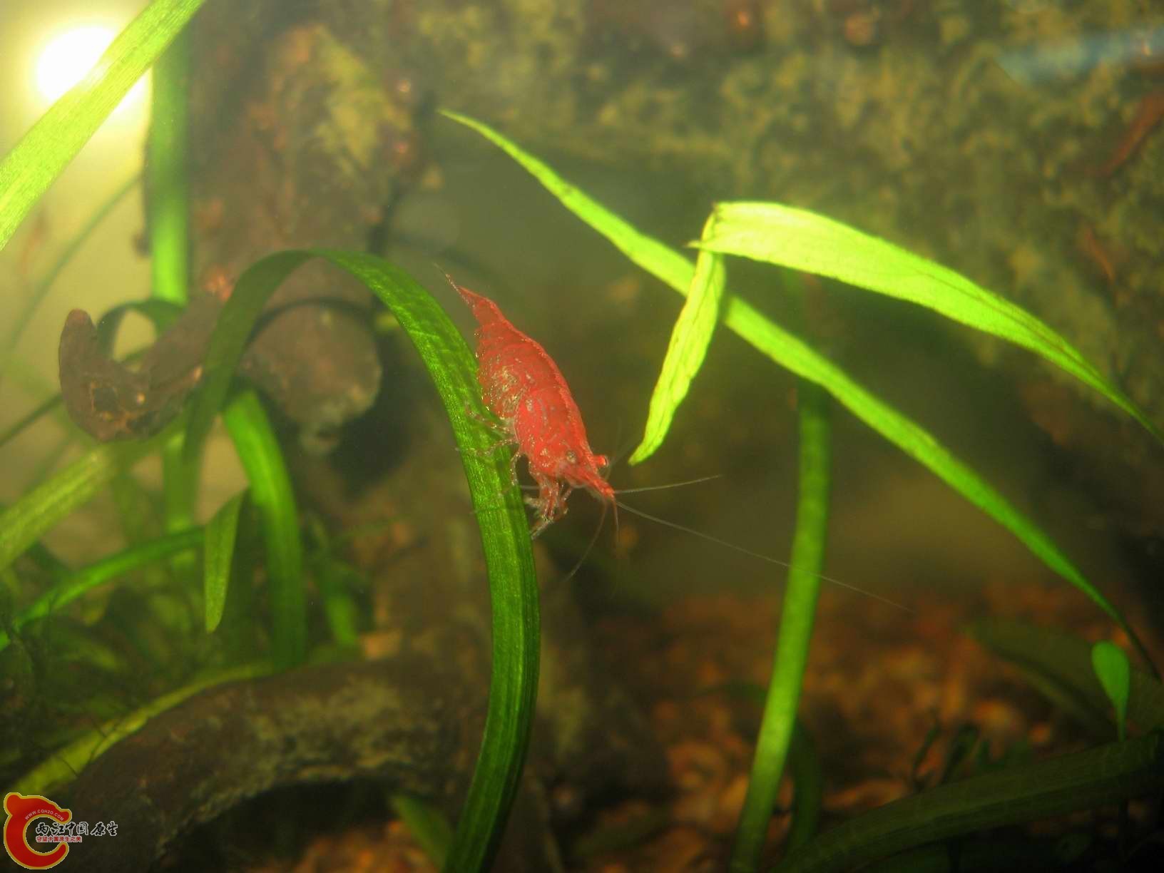 调整大小 照片 003.jpg