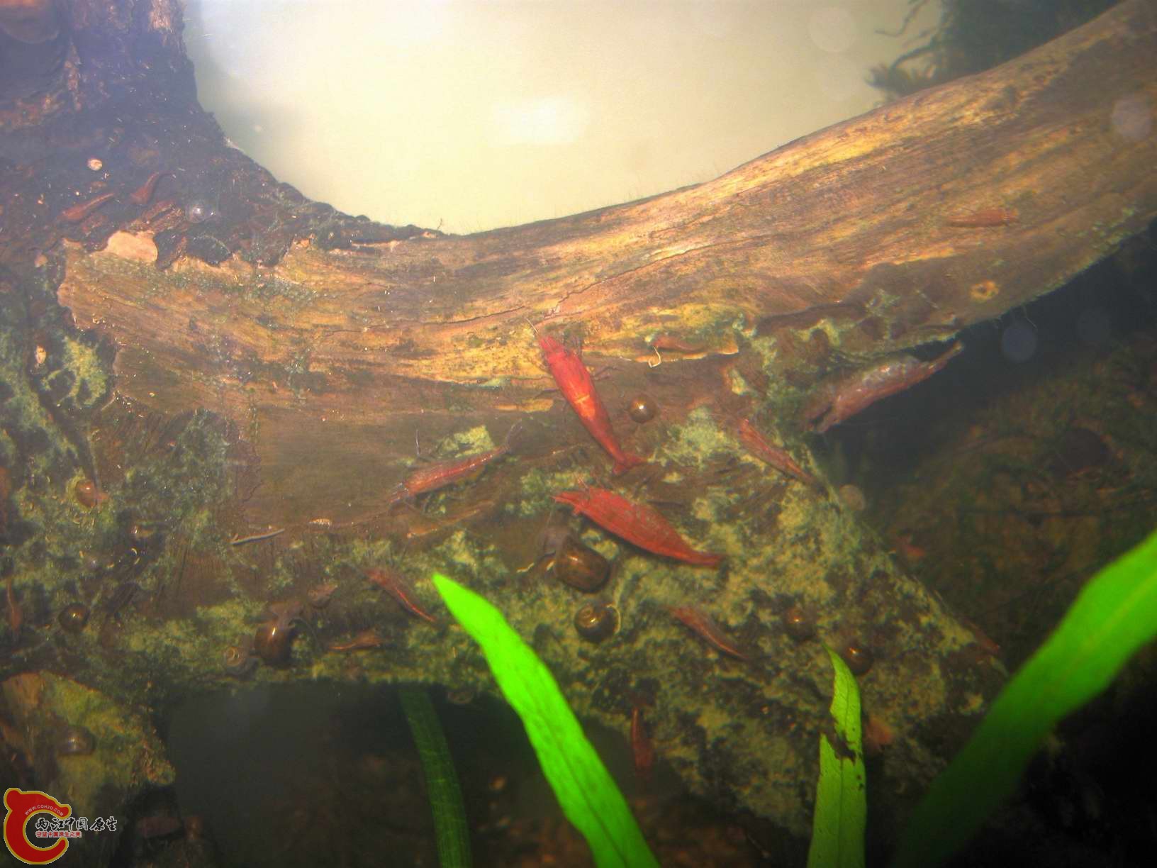 调整大小 照片 013.jpg