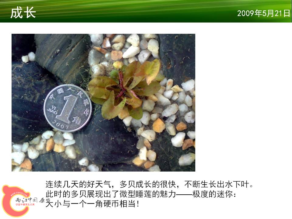 幻灯片12.JPG