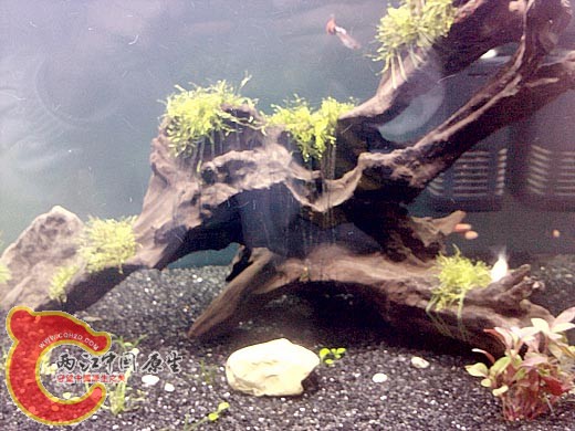 100414_153959.jpg