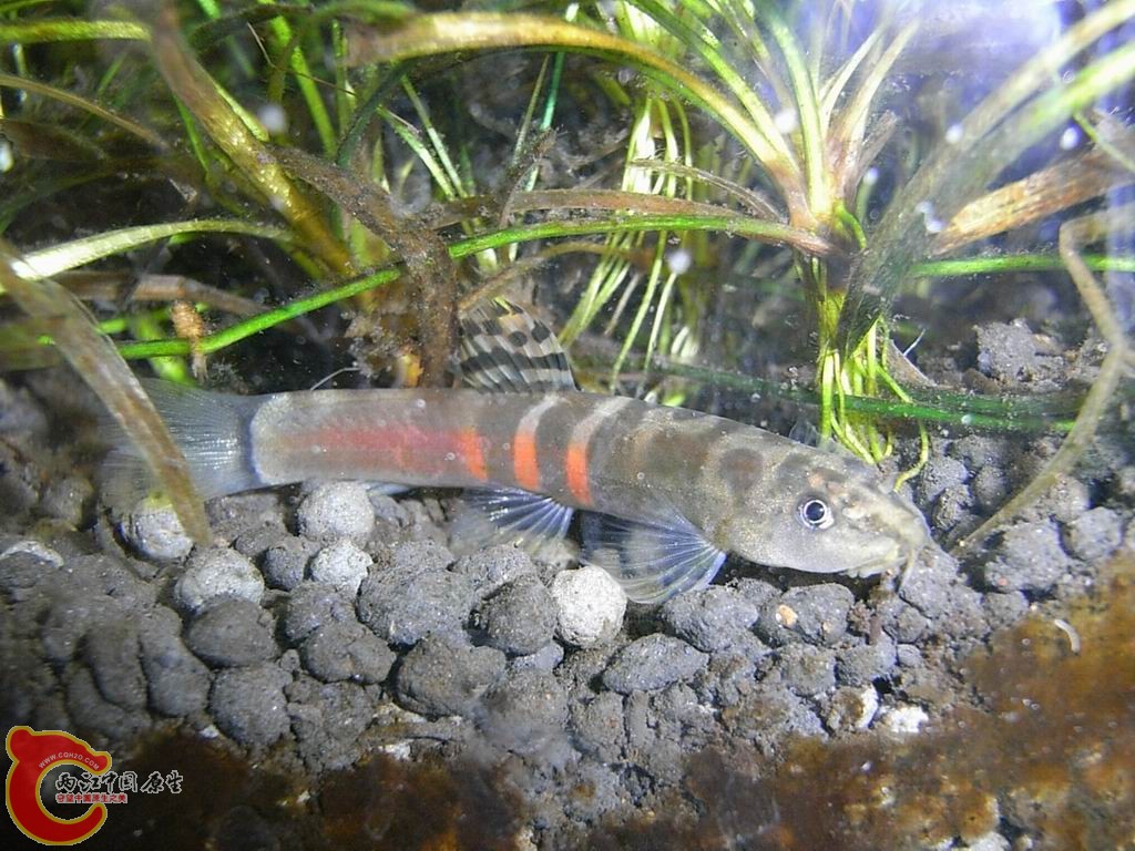 调整大小 RIMG0706.JPG