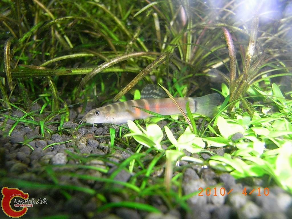 调整大小 RIMG0840.JPG