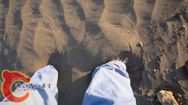 陷到土里脚.jpg