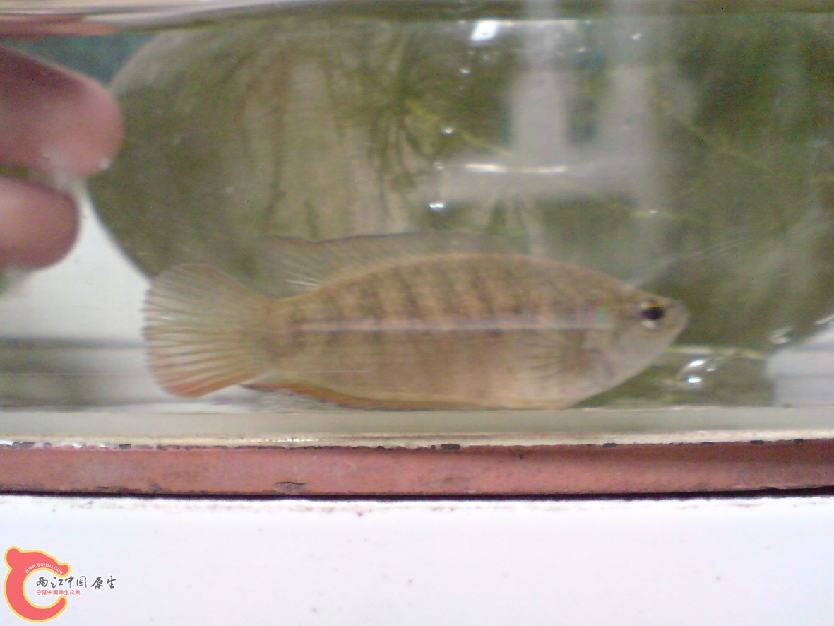 DSC01236.JPG