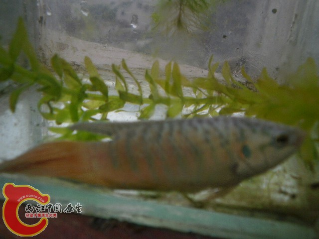 照片 030.jpg
