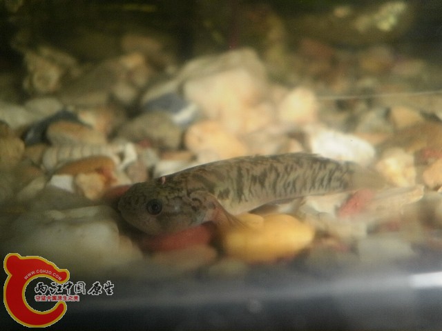 照片 037.jpg