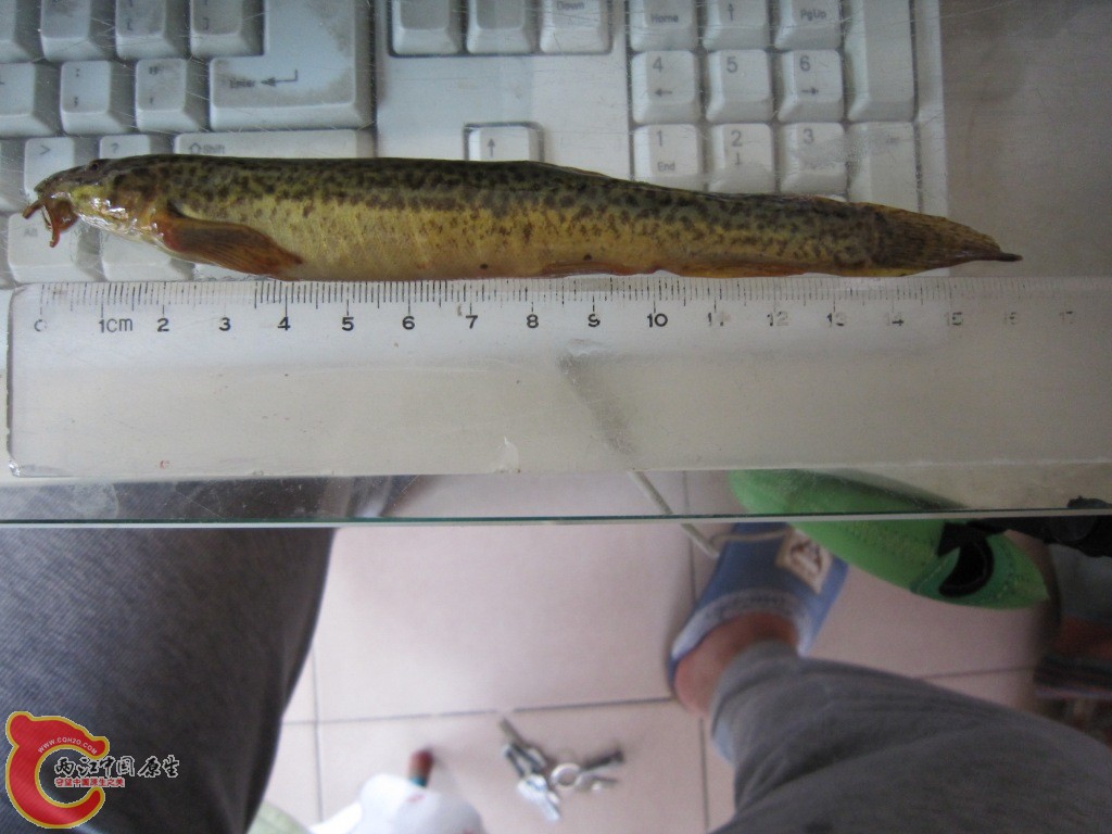IMG_1862.JPG