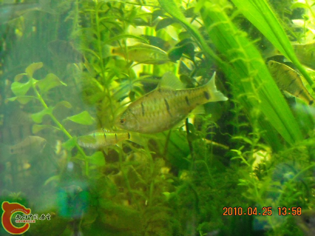 DSCN7166.JPG