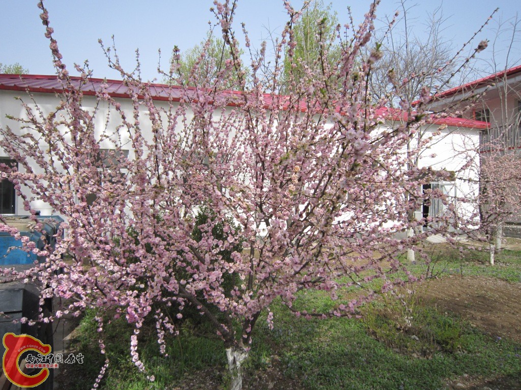 IMG_1903.JPG