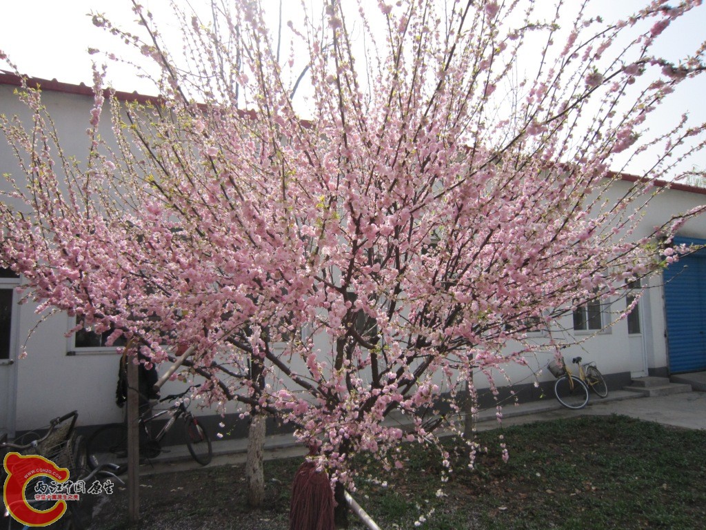 IMG_1922.JPG