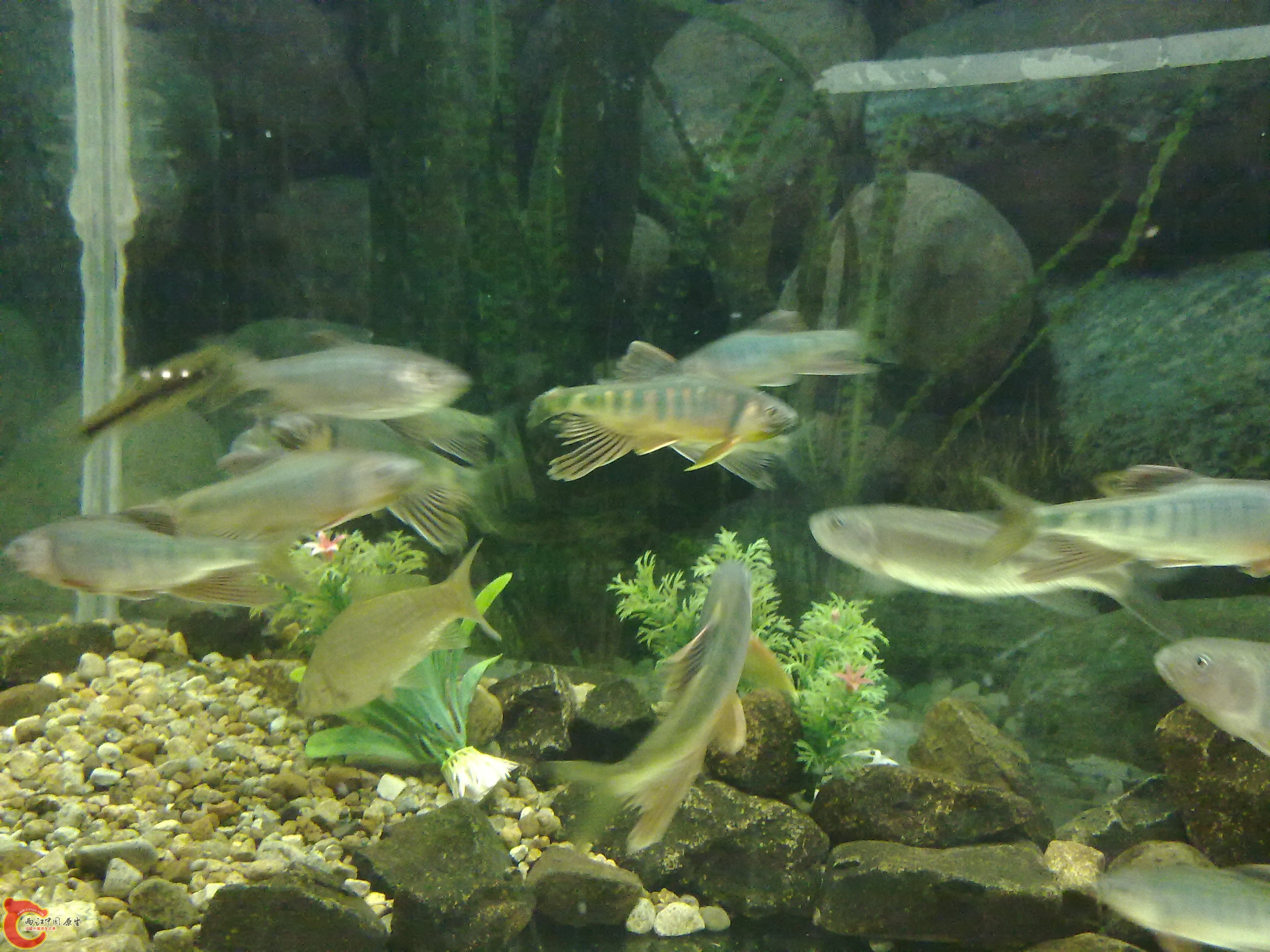 20100428096.jpg