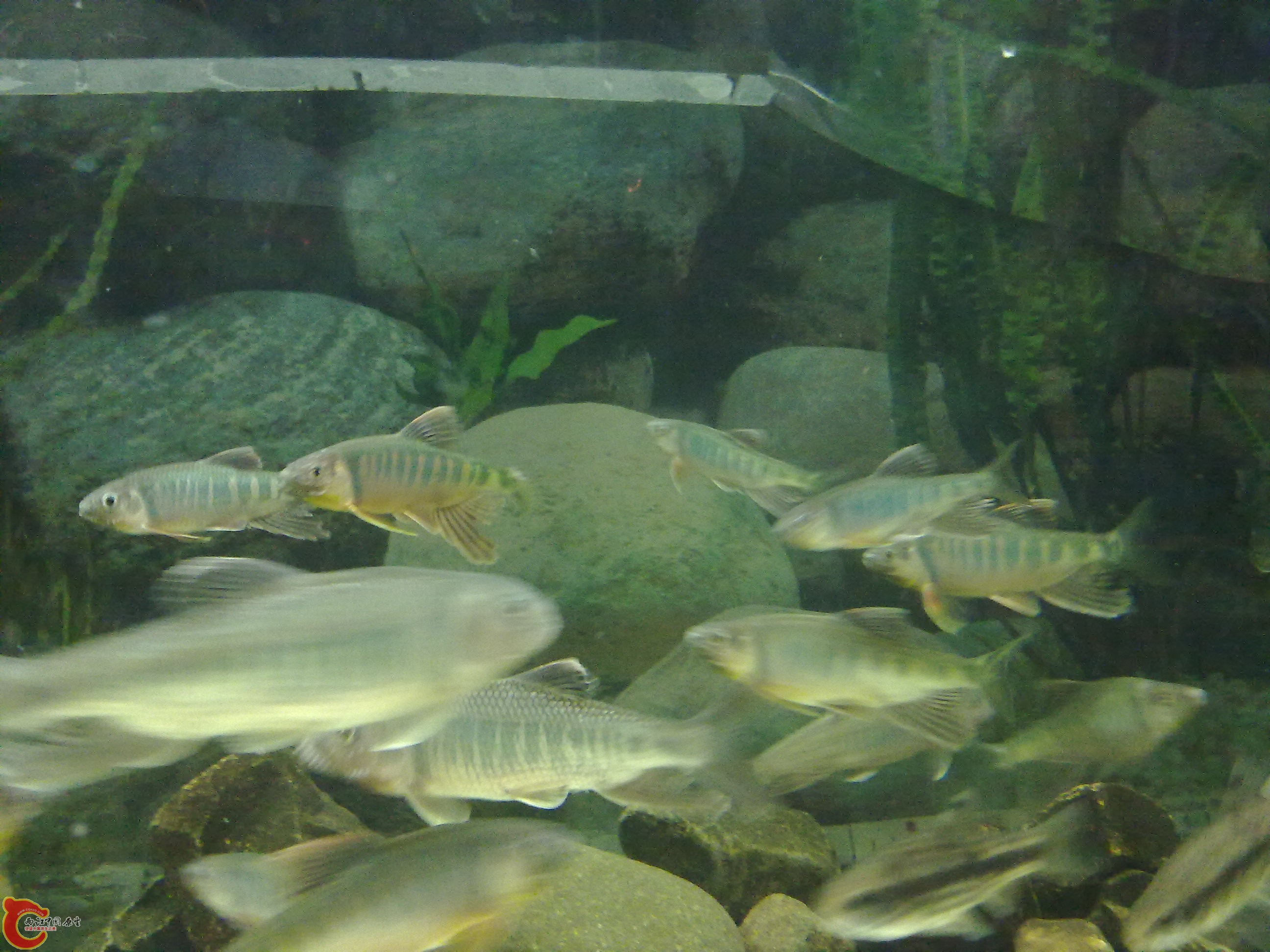 20100428118.jpg
