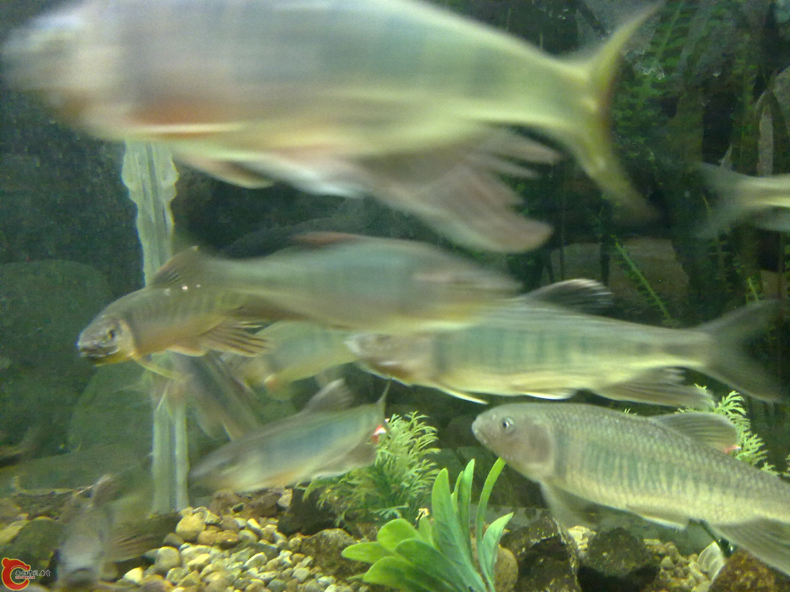 20100428155.jpg