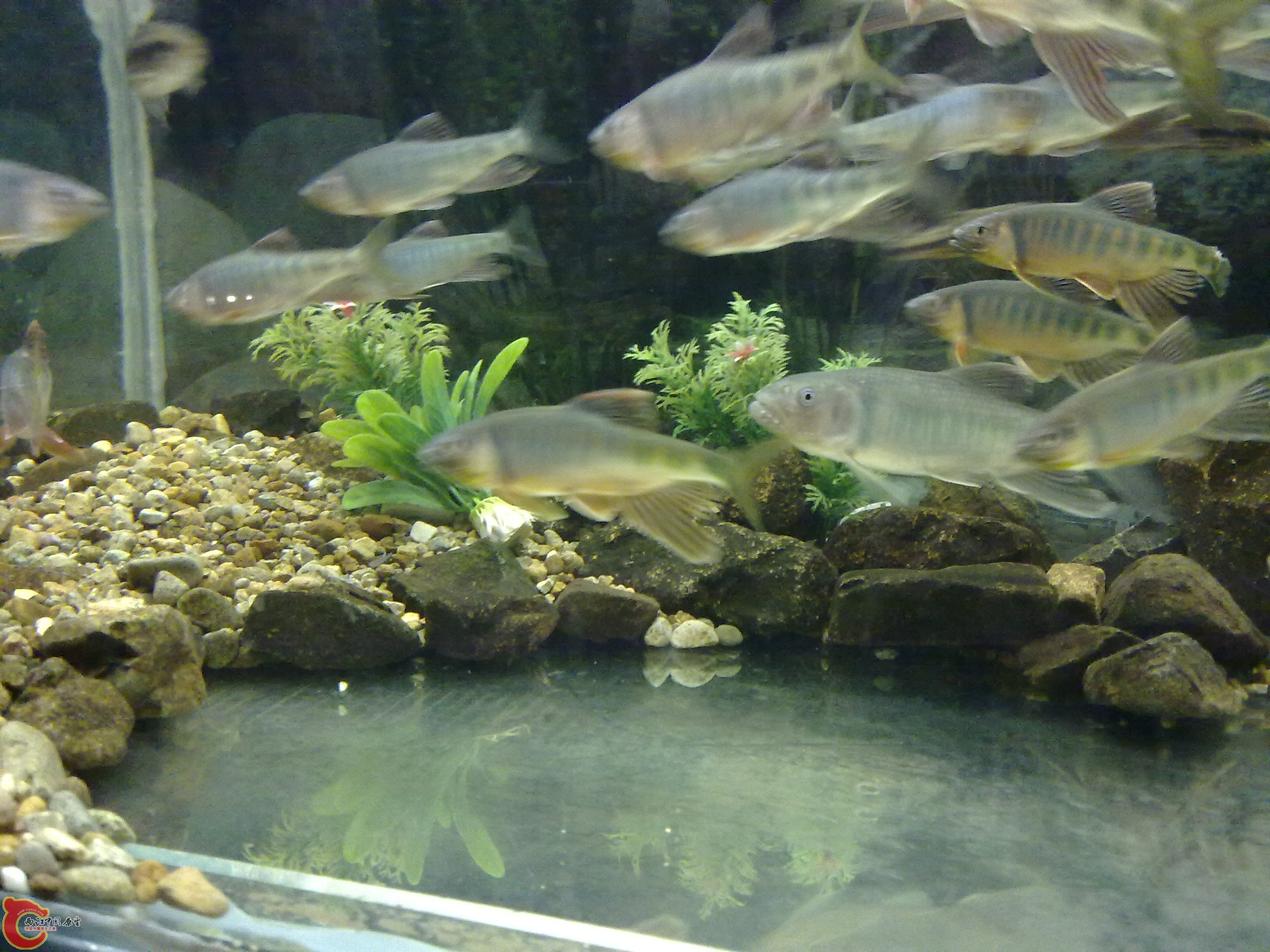 20100428090.jpg