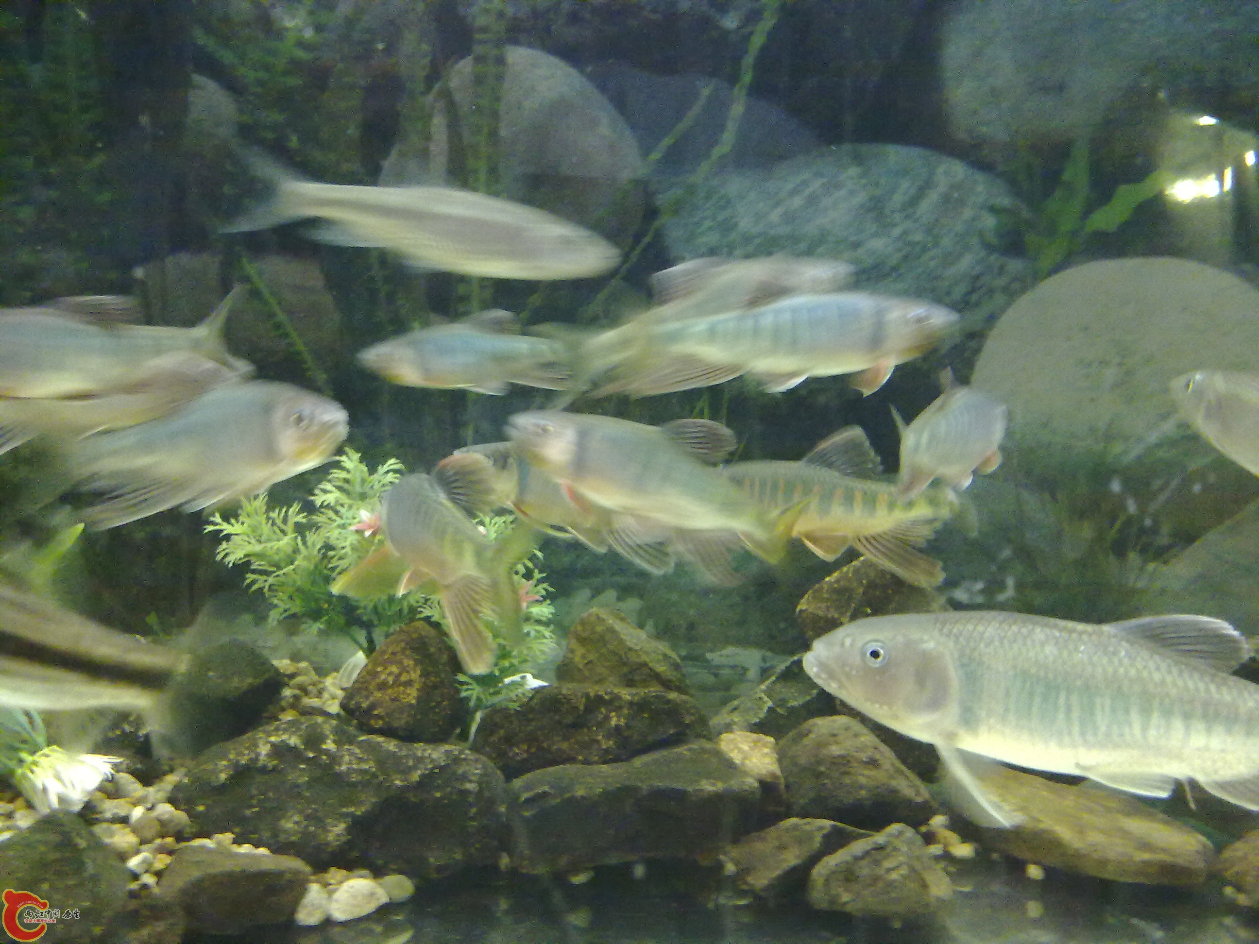 20100428086.jpg