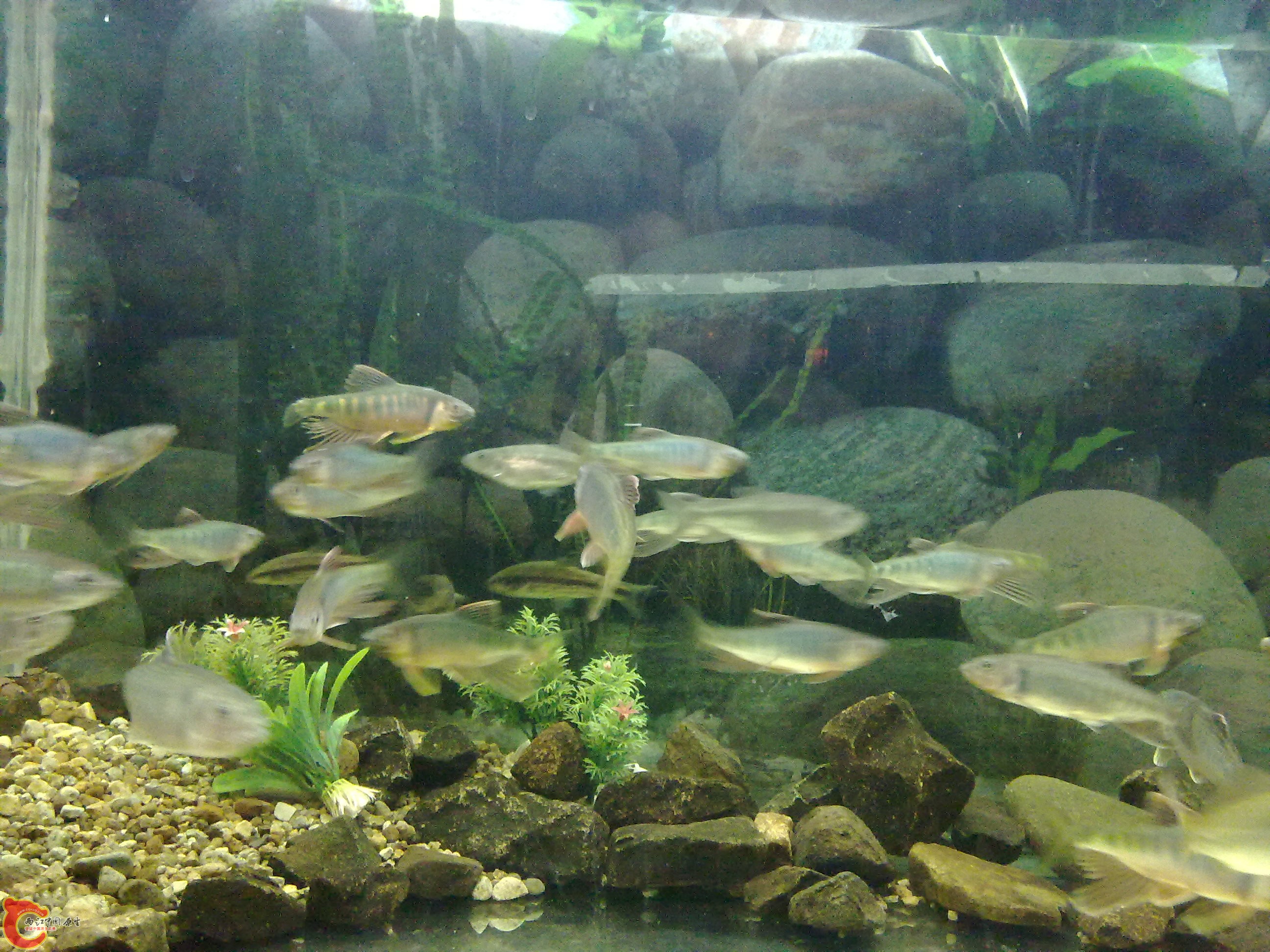 20100428104.jpg
