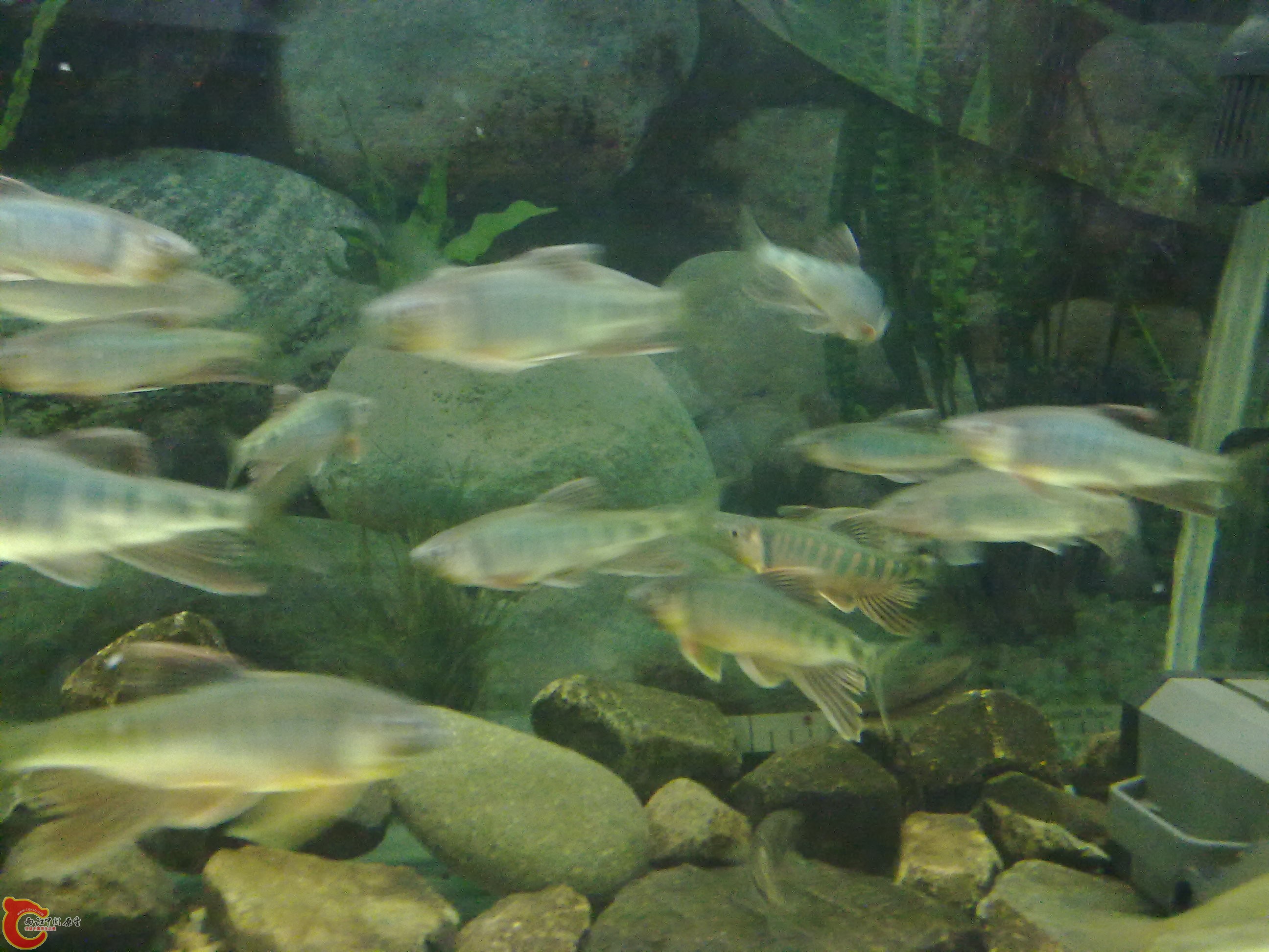 20100428116.jpg
