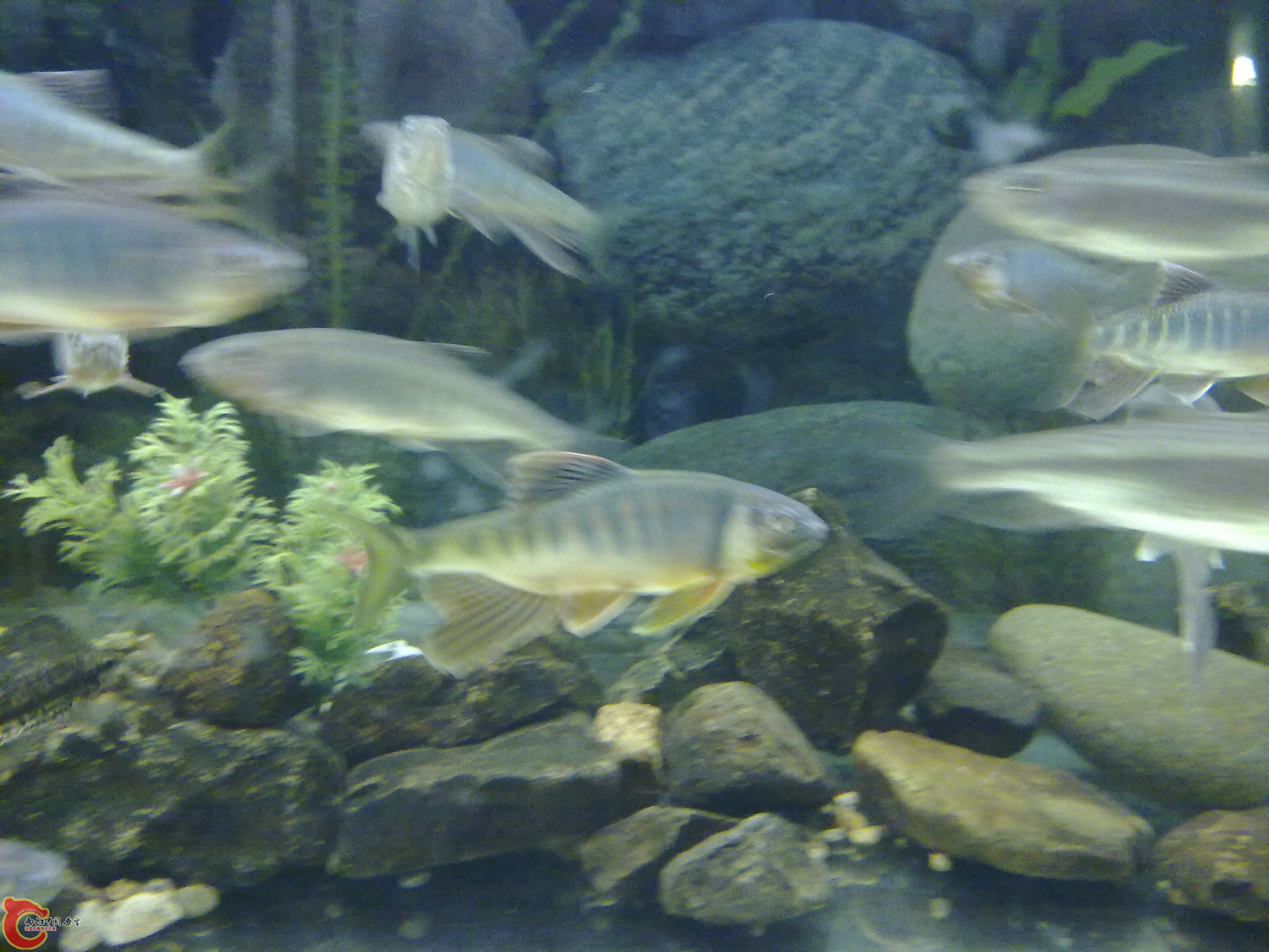 20100428127.jpg