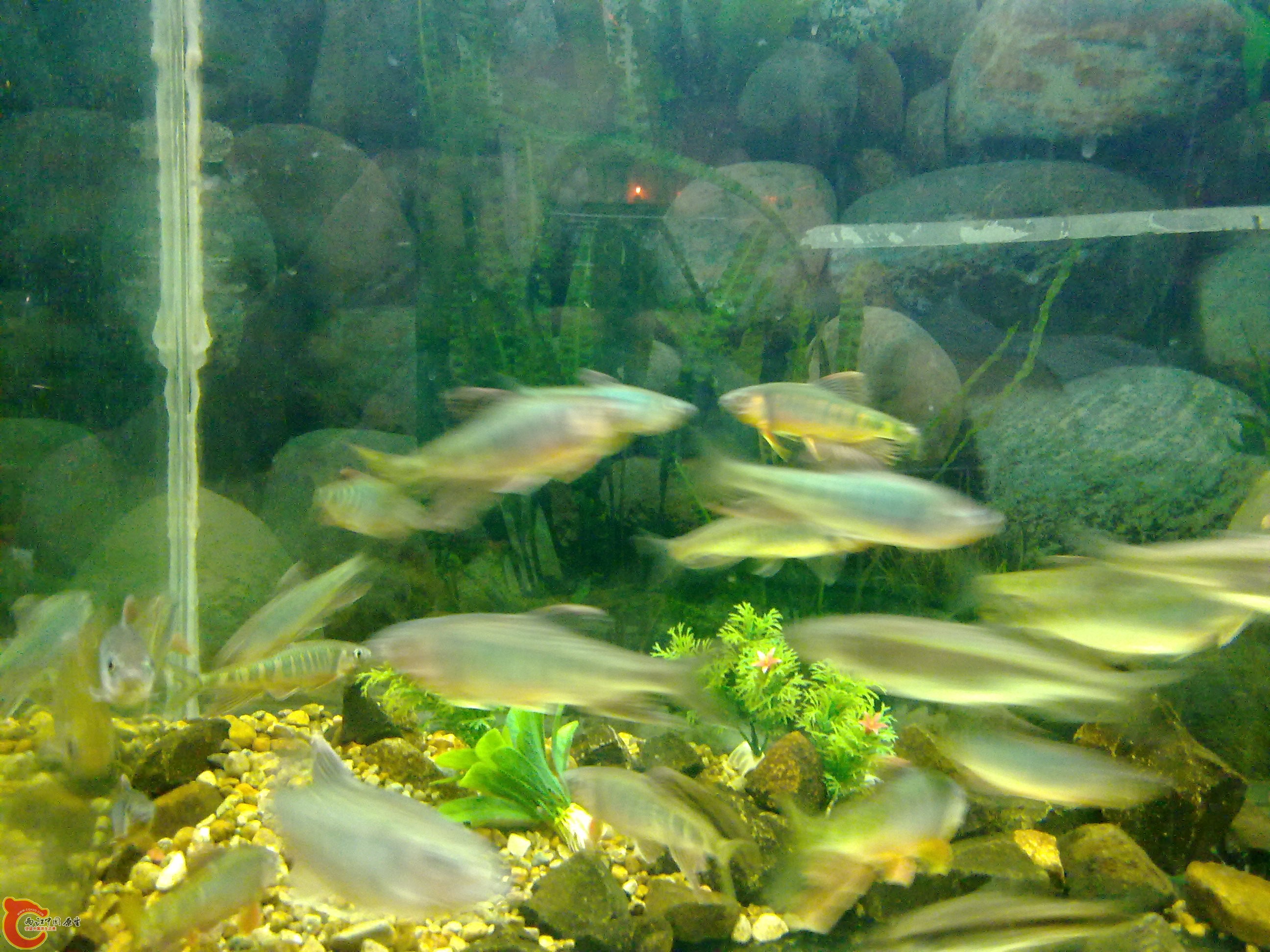 20100428219.jpg