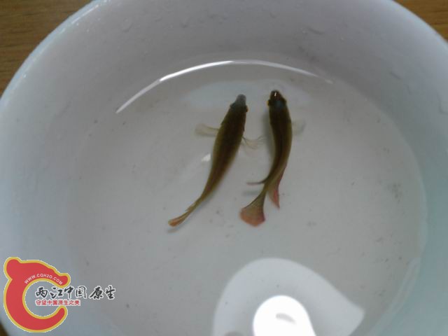 P09-05-10_16.16.jpg