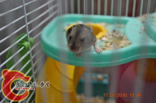 DSC_0973.JPG
