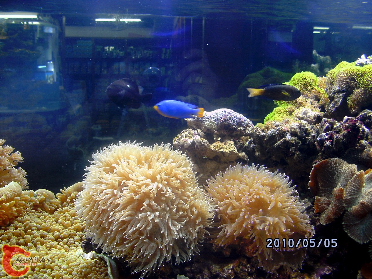 DSCK0345.jpg